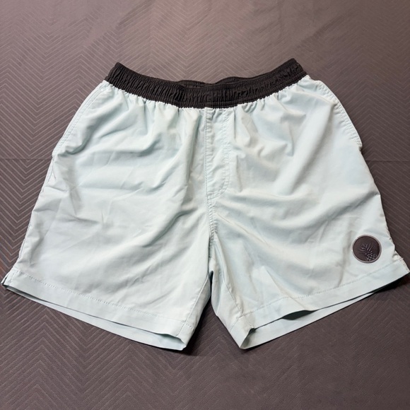 Chubbies Men’s Sky Blue Pool Shorts 5.5” Size S - Picture 1 of 9